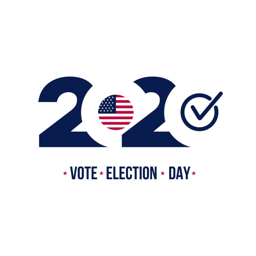 2020 United States of America Presidential election. Design logo. Vector illustration. Isolated on white background.