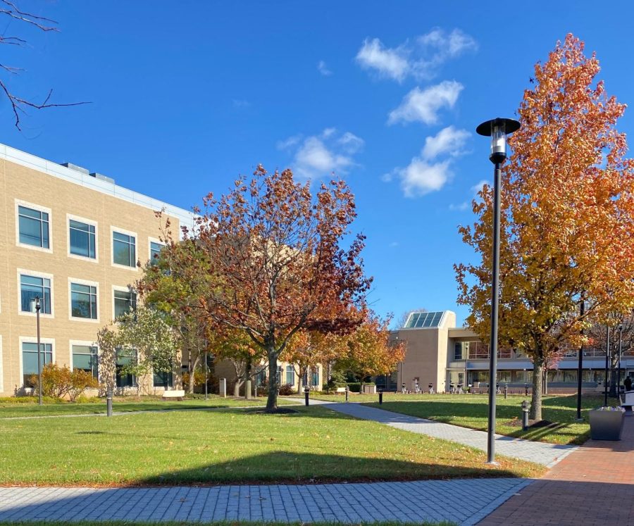 Howard Community Colleges campus is rife with trees sporting beautiful amber foliage during the autumn months.