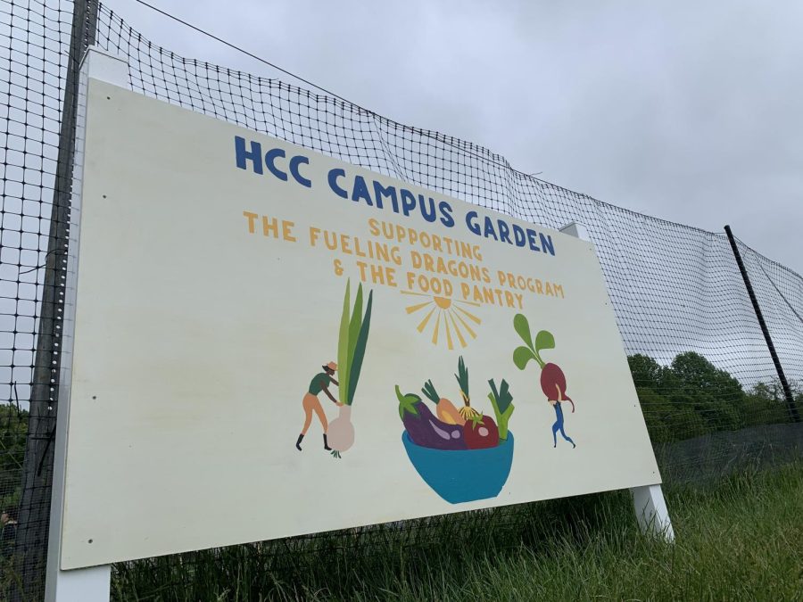 HCCs campus garden collaborates with the Fueling Dragons program and the HCC food pantry to provide students healthy and satisfying meals.