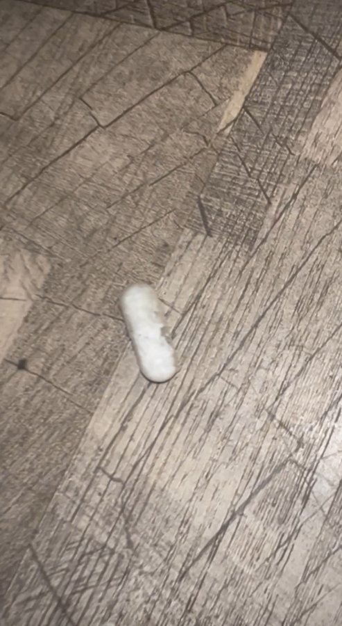 Suspected Illegal Drugs in a white capsule found under the bed of our room at The Boston Inn