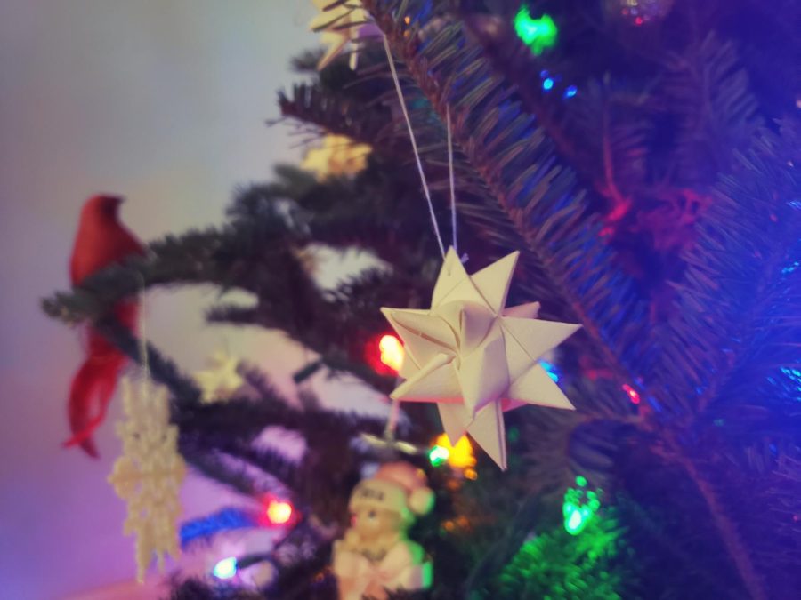 A Froebel star adorning a Christmas tree with different color lights