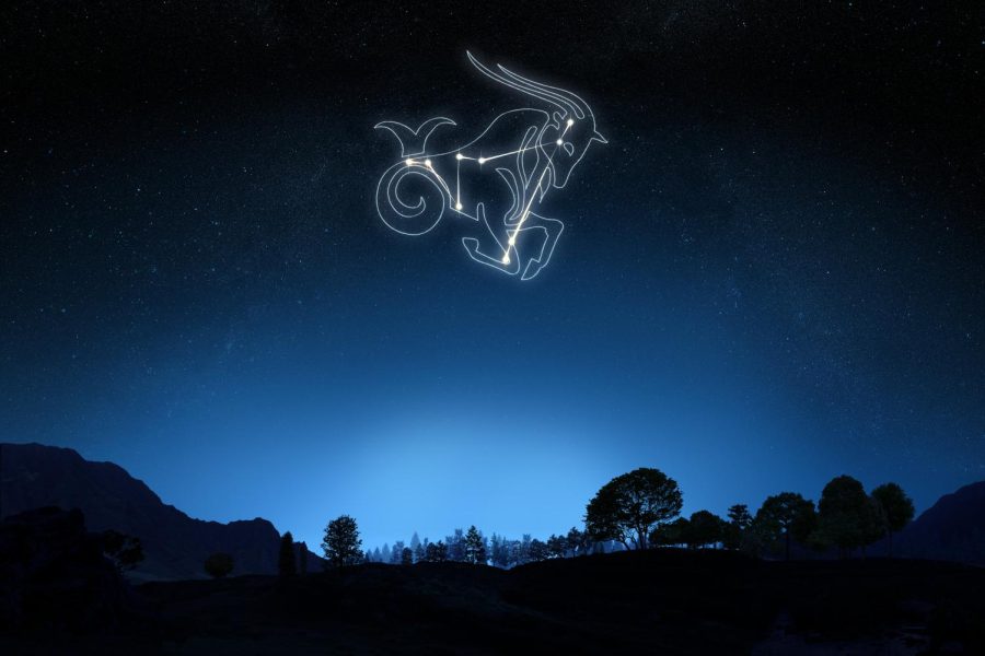 Capricorn Zodiac sign in the blue night sky with trees.