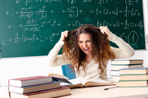 A young woman pulls her hair in distress while studying math.