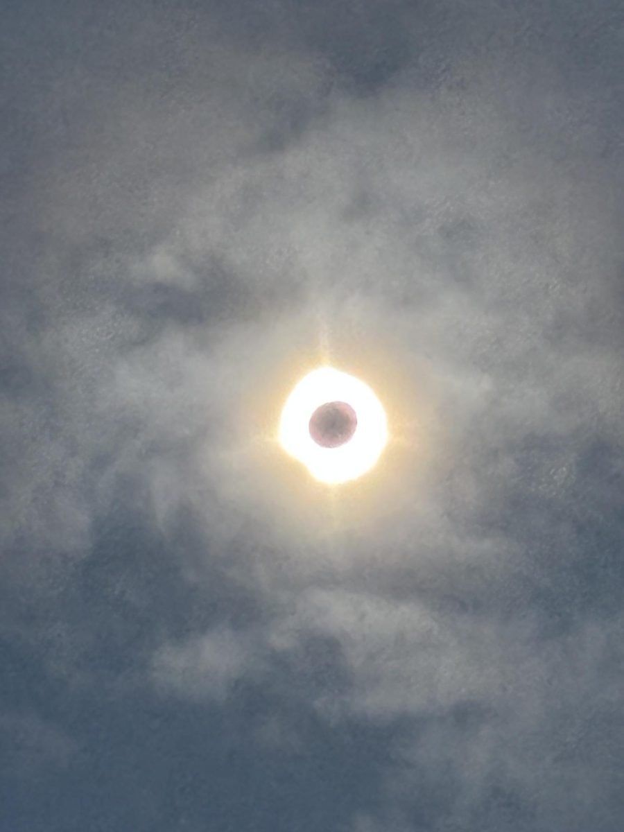 Total Solar Eclipse on April 8th 3:19 PM, Grimsby, Ontario Fifty Point Land Complex Grimsby Wetlands